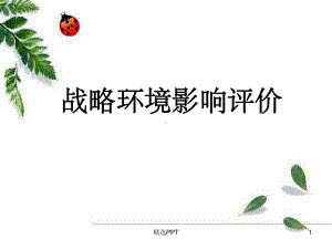 《战略环境影响评价》课件.ppt