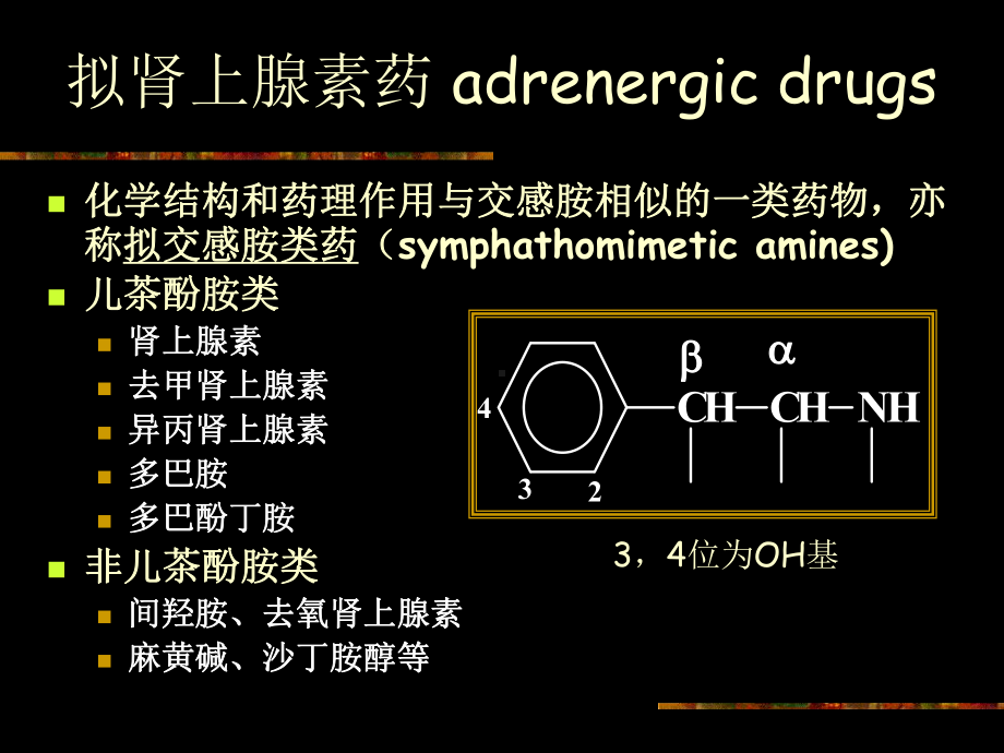 1011z拟抗肾上腺素药课件.ppt_第2页