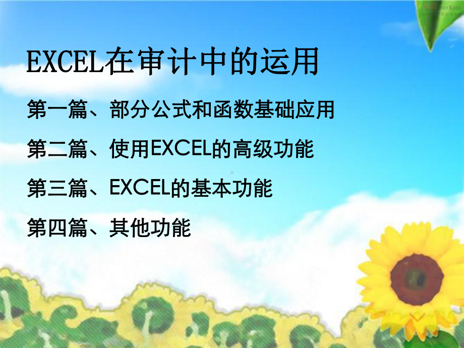 EXCEL在审计中的运用课件.ppt_第2页