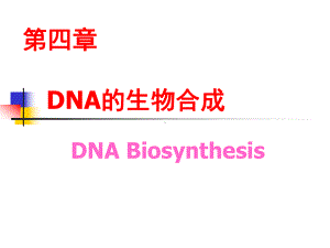 [基础医学]第四章 DNA的生物合成课件.ppt