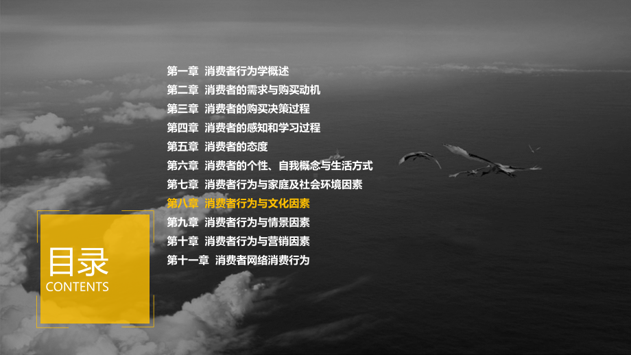 8第八章消费者行为与文化因素课件.ppt_第2页