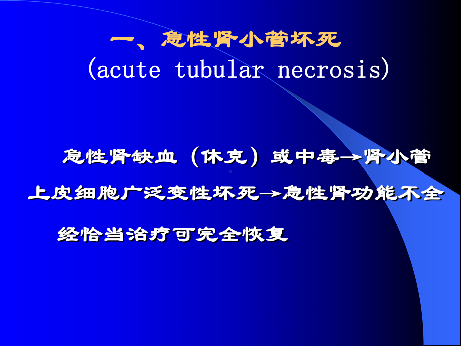 中山医科大学病理学课件第十一章 泌尿系统疾病2.ppt_第3页