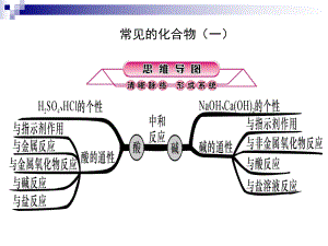 中考科学第一轮总复习常见的化合物一课件2.ppt