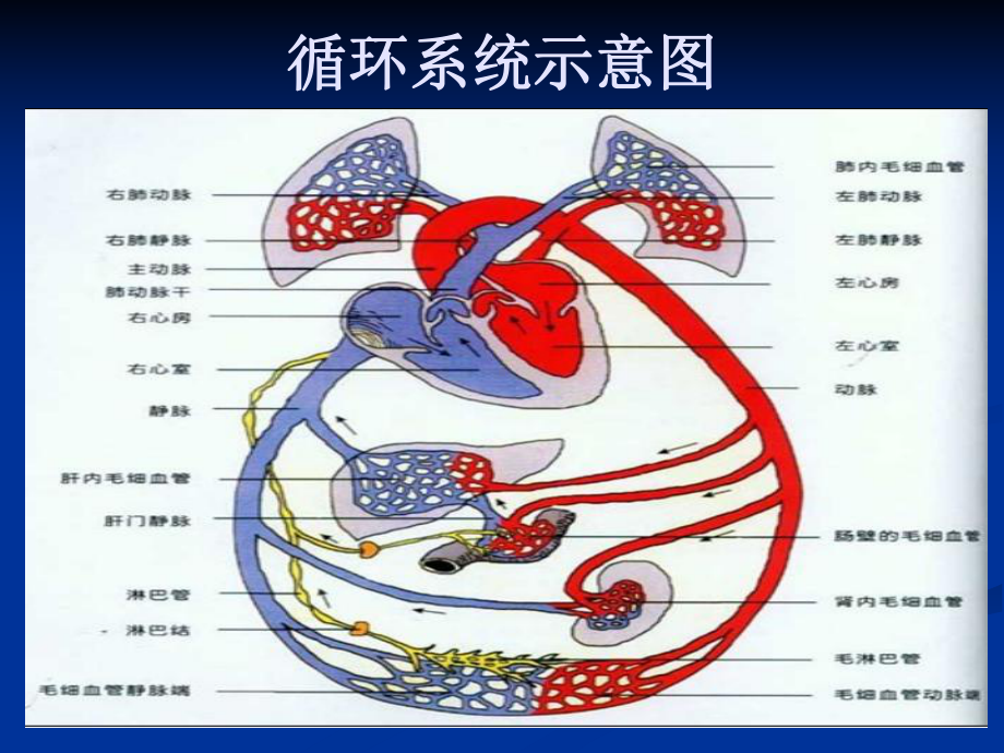 [教学设计]重症心力衰竭的利尿治疗课件.ppt_第2页