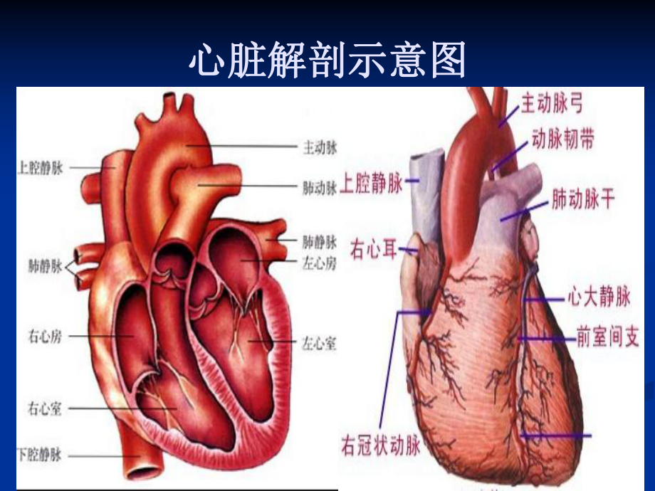 [教学设计]重症心力衰竭的利尿治疗课件.ppt_第3页