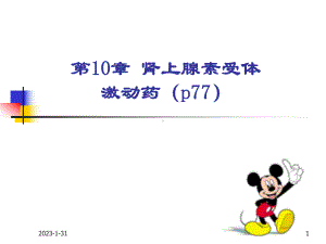 [药理学]肾上腺素受体激动药课件.ppt