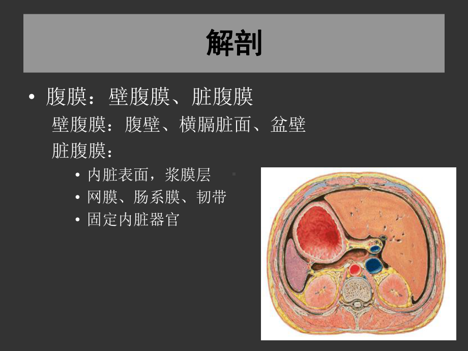 上海交大外科课件.ppt_第3页