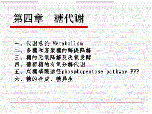 生物化学第四章 糖代谢　课件.ppt