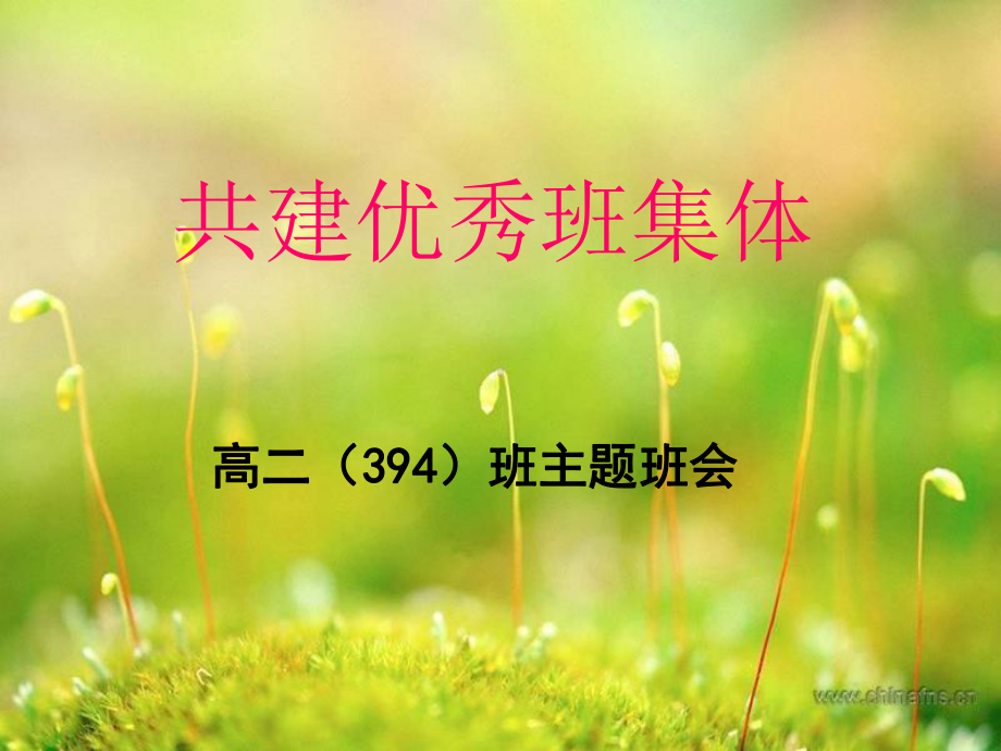 共建优秀班集体课件.ppt_第1页