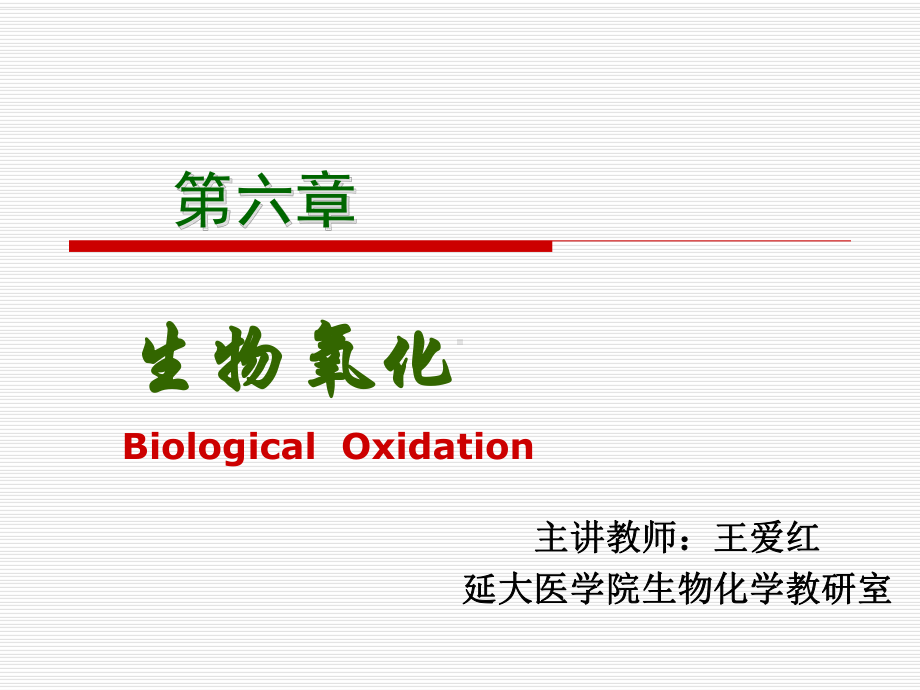 第六章生物氧化课件.ppt_第1页