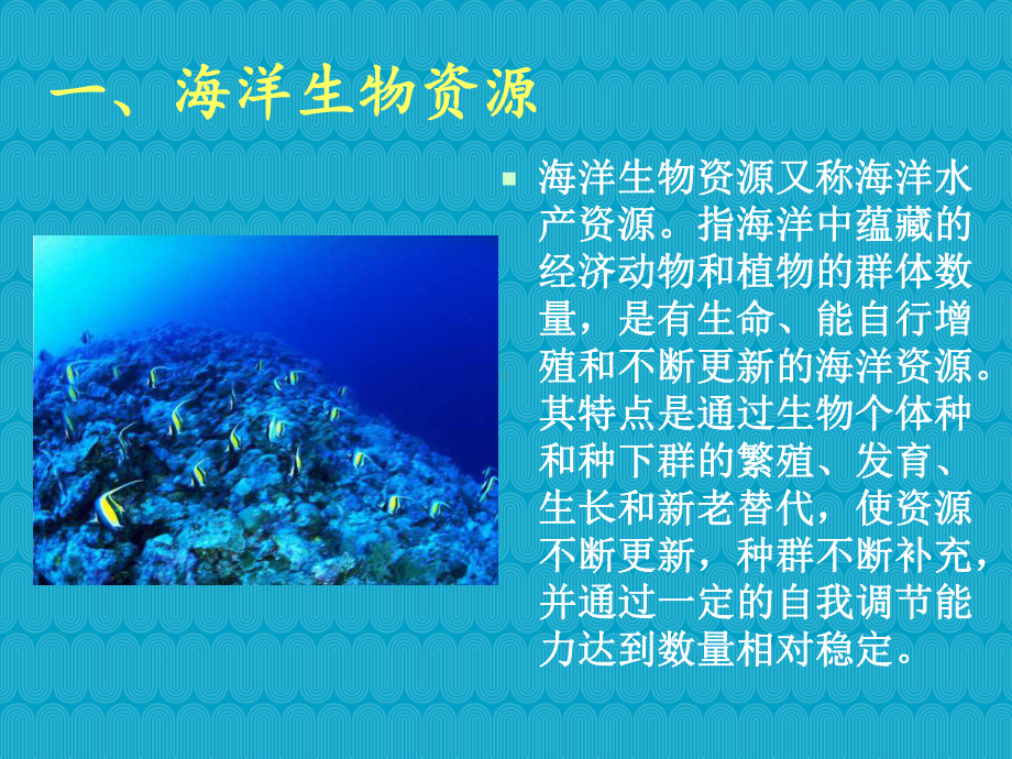 海洋生物资源课件.ppt_第3页