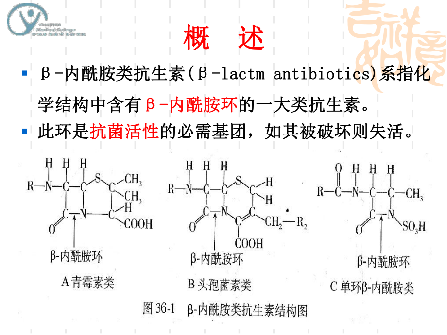 第36章β内酰胺类抗生素(临床、药学)课件.ppt_第3页