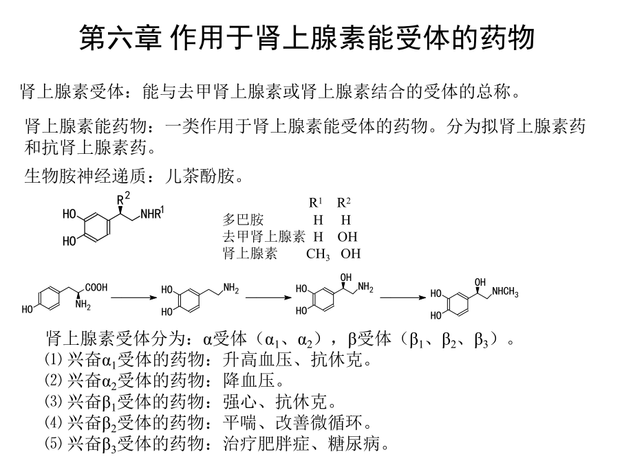 药物化学拟肾上腺素药和抗肾上腺素药课件讲义.ppt_第1页