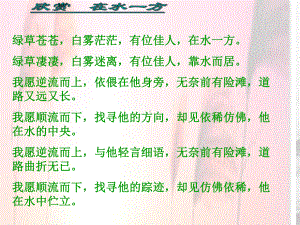 人教部编版八年级语文下册《《诗经》二首》之《蒹葭》课件.ppt