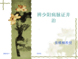 伤寒论少阳病篇(七版)课件.ppt