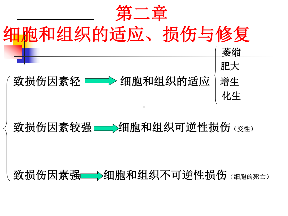 第1章细胞和组织的适应、损伤与修复课件.ppt_第1页