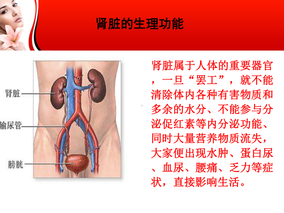 血液透析并发症之肾性贫血课件.ppt_第2页