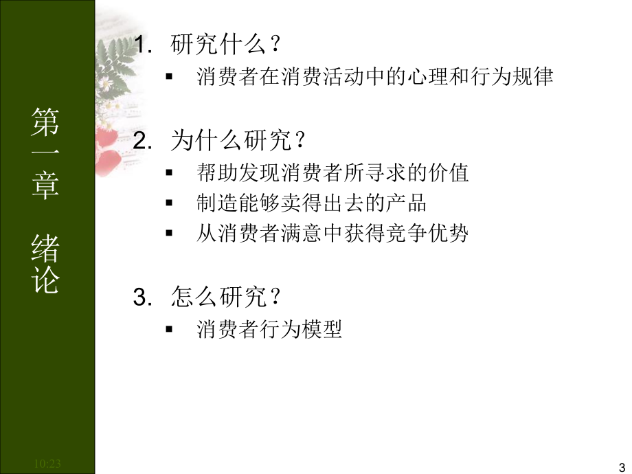 消费者行为与心理课件.ppt_第3页