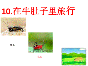 小学三年级语文上册第三单元10《在牛肚子里旅行》名师公开课省级获奖课件1新人教版.ppt