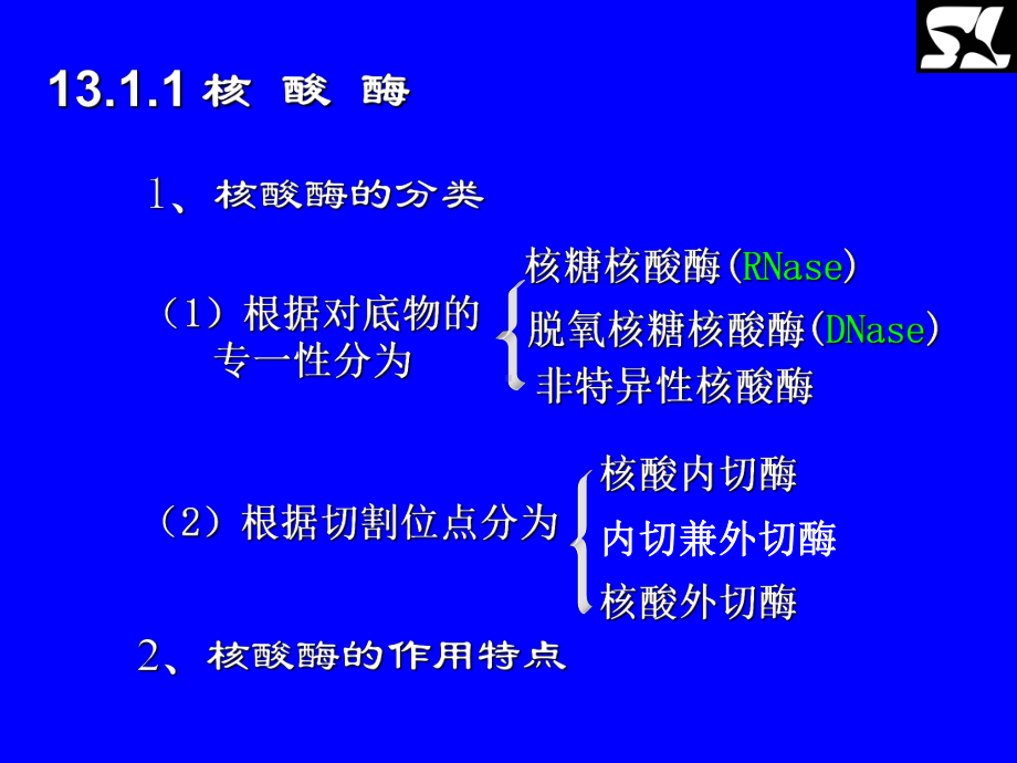 核酸的酶促降解和核苷酸代谢（）课件.ppt_第3页