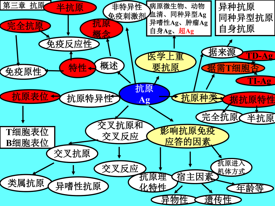 免疫网络图解析课件.ppt_第3页