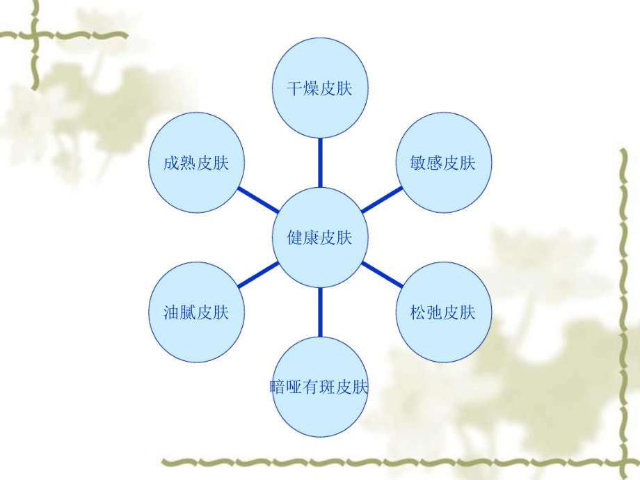 皮肤类型分析课件.ppt_第2页