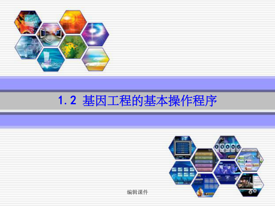 人教版教学课件12基因工程的基本操作程序修改.ppt_第1页