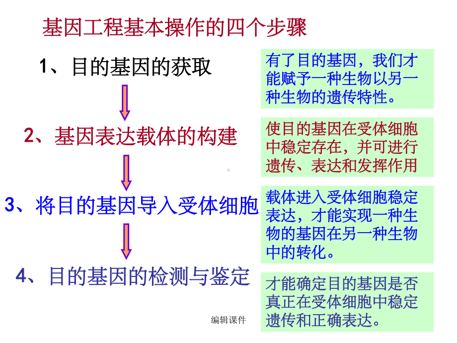 人教版教学课件12基因工程的基本操作程序修改.ppt_第2页