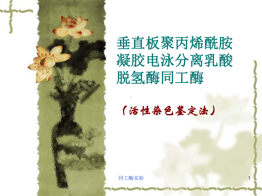 同工酶实验课件.ppt_第1页