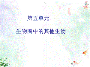 人教版《腔肠动物和扁形动物》课件2.ppt