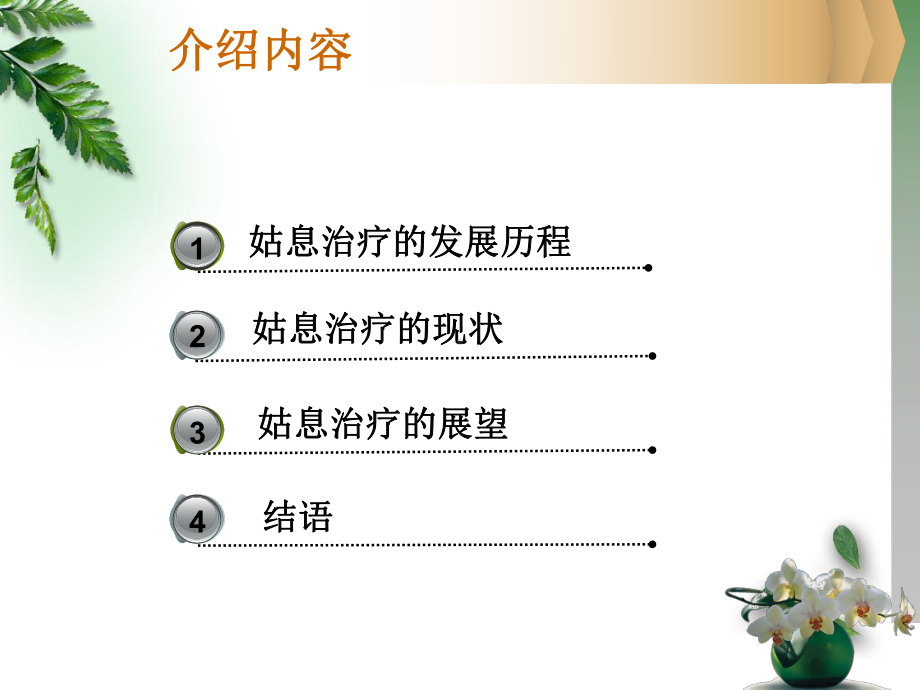 恶性肿瘤姑息治疗课件.ppt_第2页