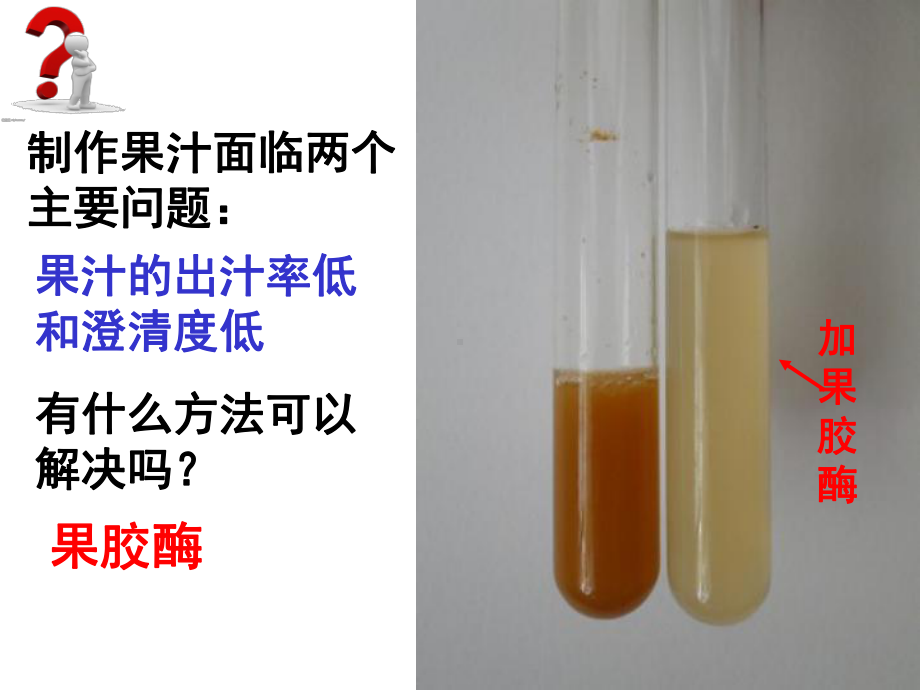 人教版高二生物选修一《果胶酶在果汁生产中的应用》课件.ppt_第2页