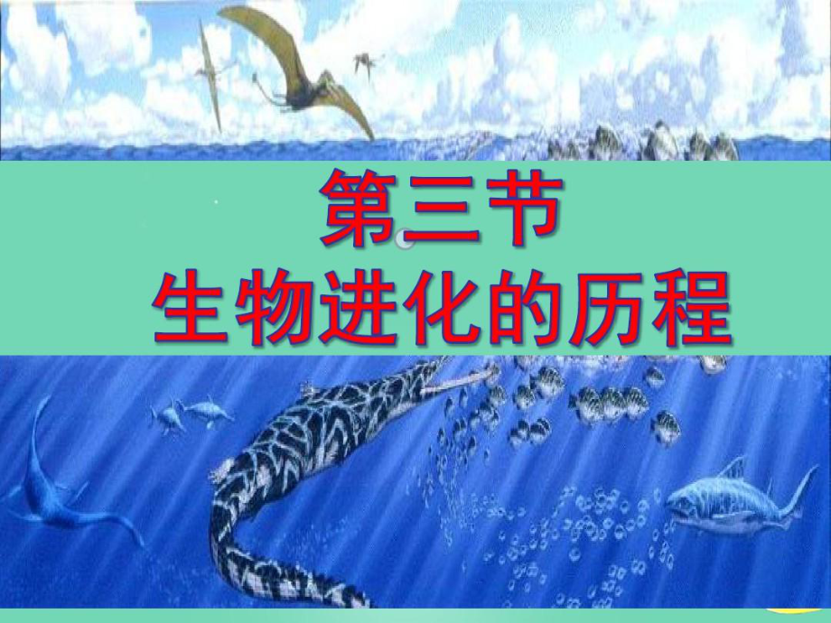 济南版八年级生物上册第五单元第一章第三节生物进化的历程课件.ppt_第3页