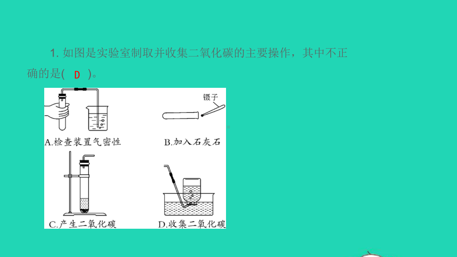 九年级化学上册第六单元碳和碳的氧化物实验活动2二氧化碳的实验室制取与性质课件新版新人教版.pptx_第3页