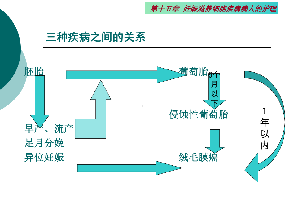 第十六章妊娠滋养细胞疾病病人的护理课件.ppt_第3页