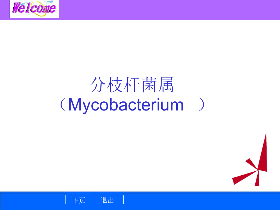 细菌学检验1分枝杆菌属5课件.ppt_第1页