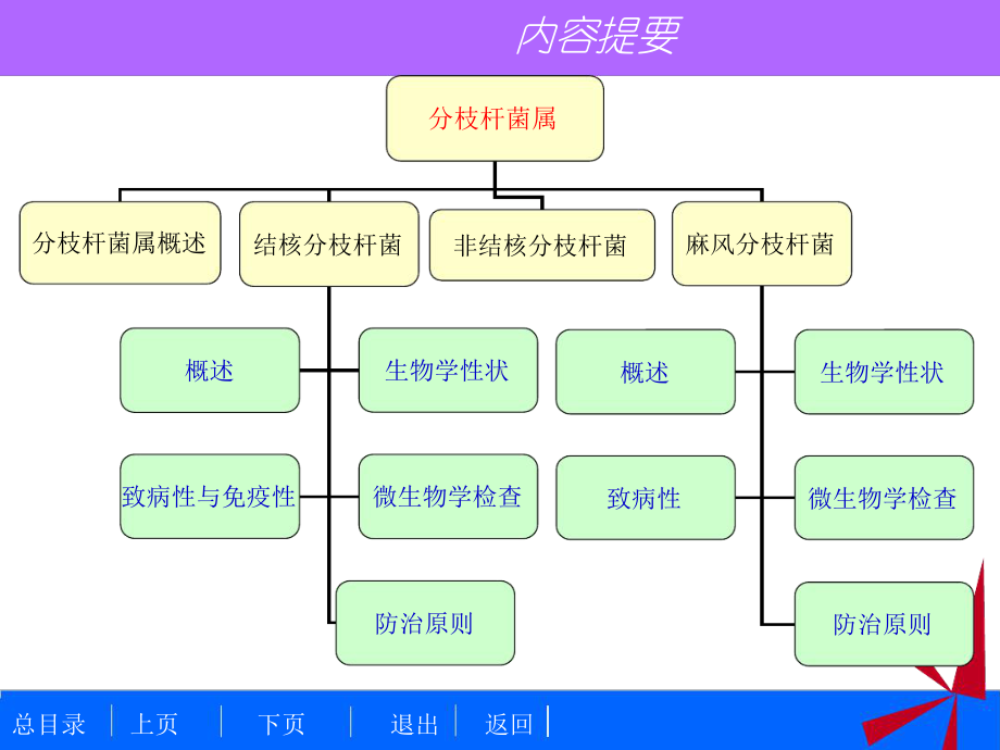 细菌学检验1分枝杆菌属5课件.ppt_第2页