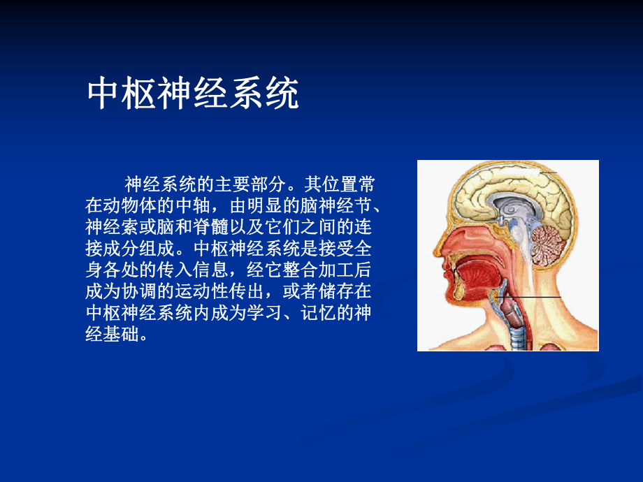 第二章镇静催眠药课件.ppt_第2页