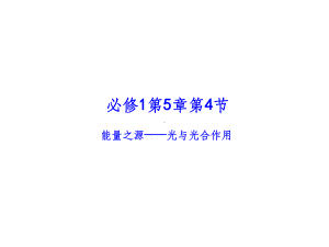 光合作用一轮复习49160课件.ppt