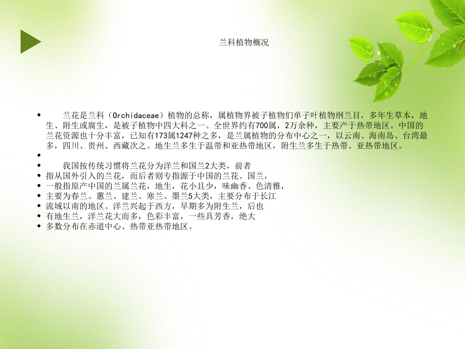 兰科植物文化及运用课件.ppt_第2页