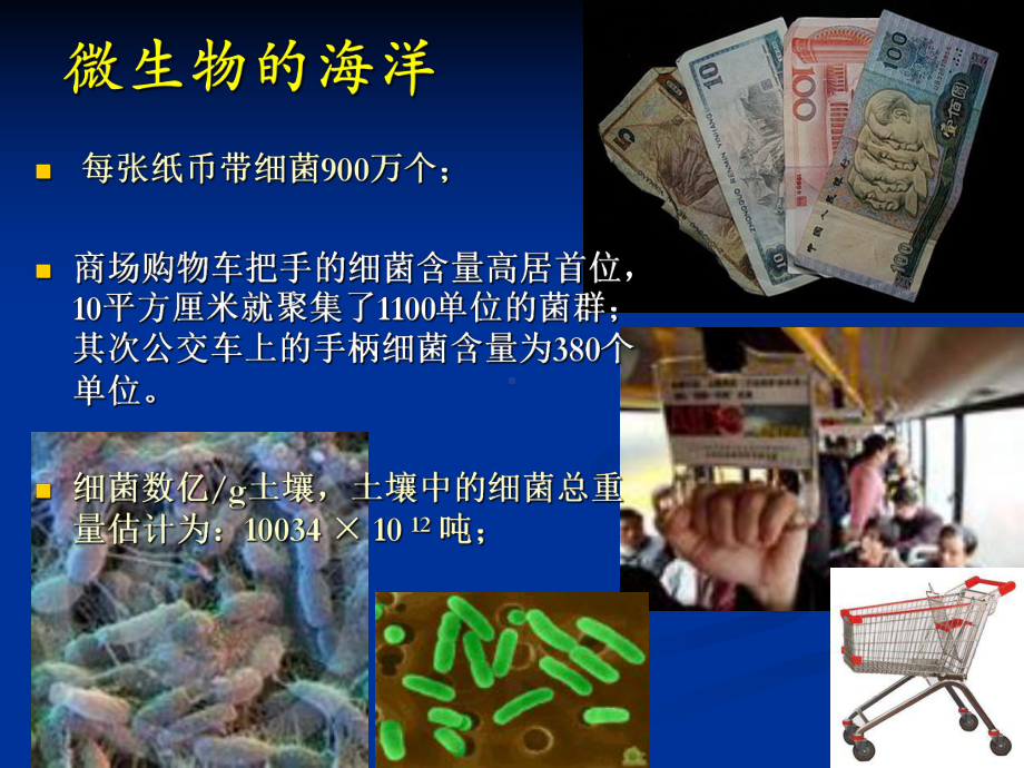 农业微生物学1课件8.ppt_第2页