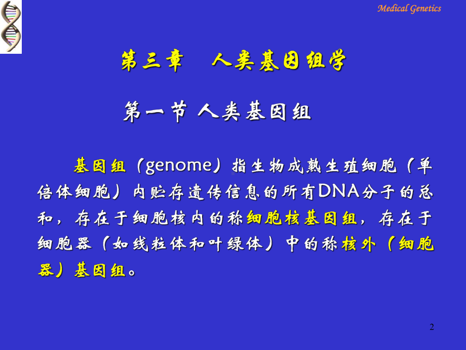 医学遗传学第三章人类基因组学课件.ppt_第2页