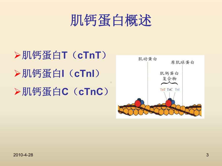 肌钙蛋白与脑卒中课件.ppt_第3页