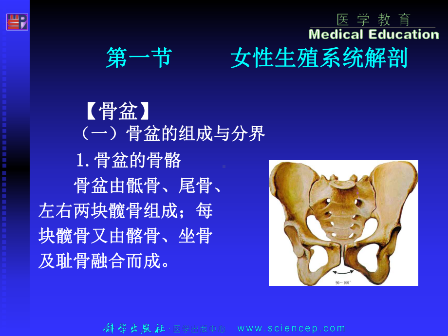 第二章正常妊娠期孕妇的护理妇产科护理学课件.ppt_第3页