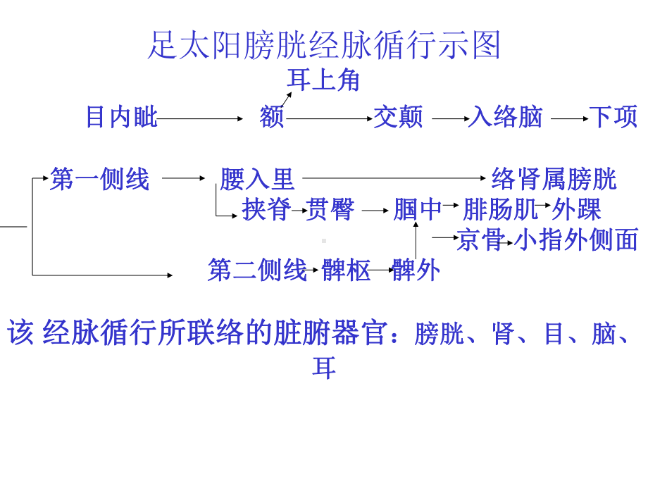 足太阳膀胱经脉循行示图（推荐）课件.ppt_第2页