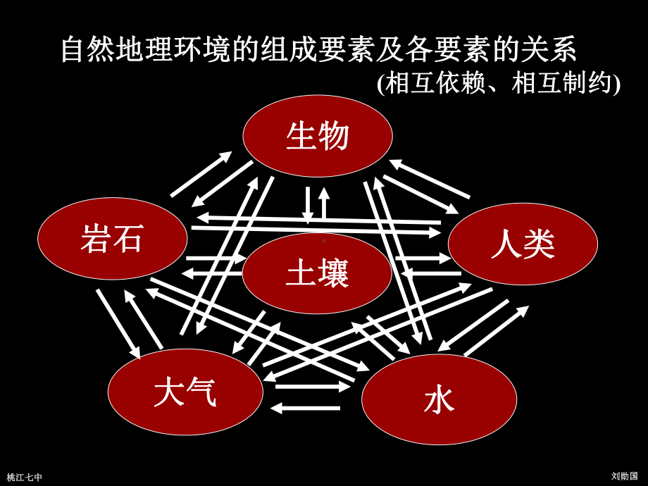 生物进化灭绝与环境课件.ppt_第3页