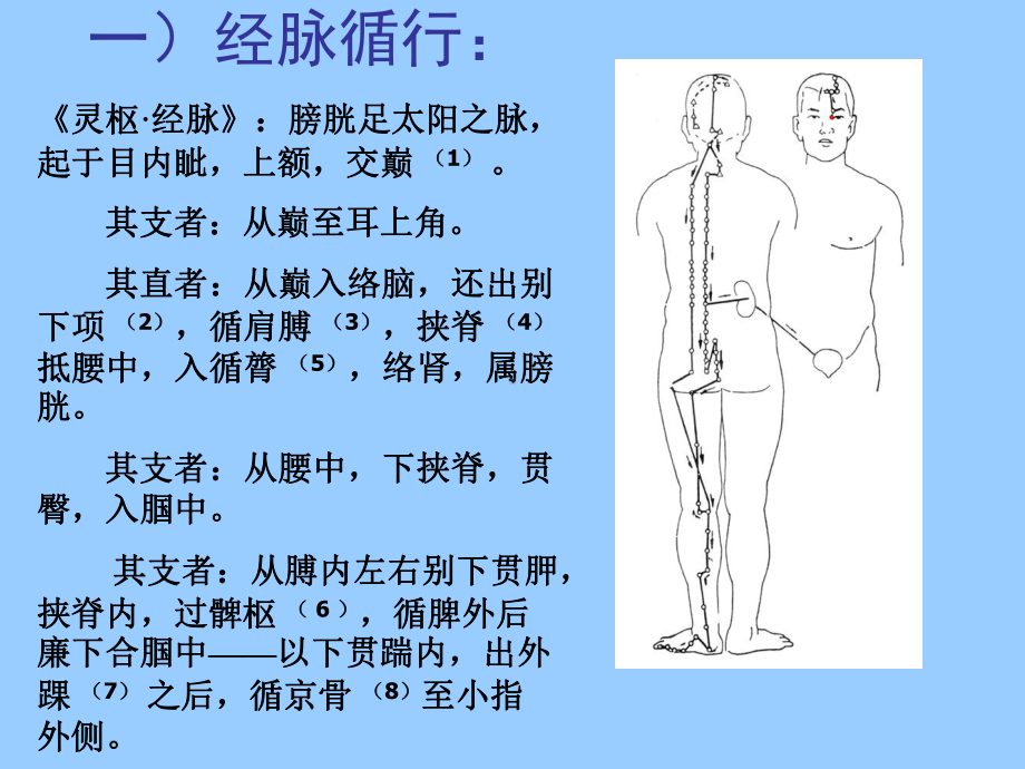 足太阳膀胱经课件008.ppt_第3页