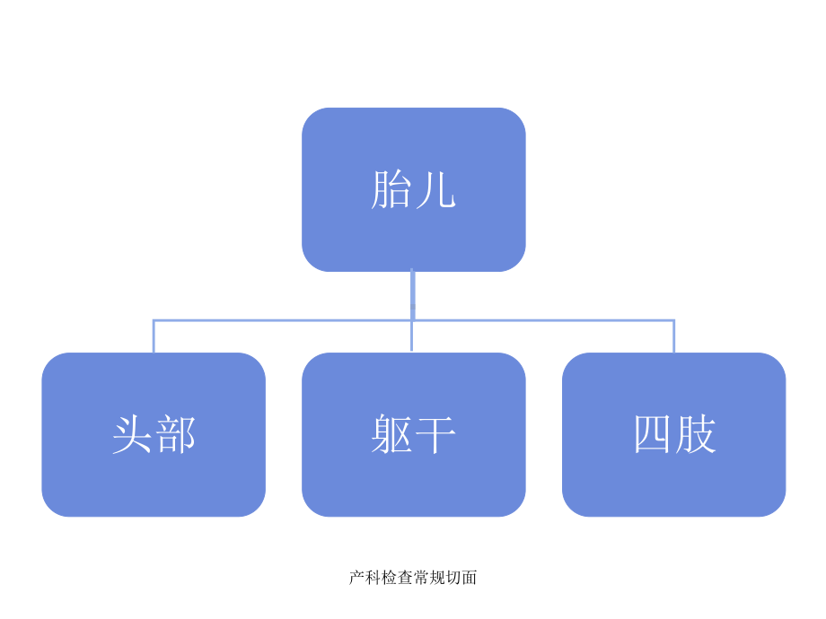 产科检查常规切面课件.ppt_第2页