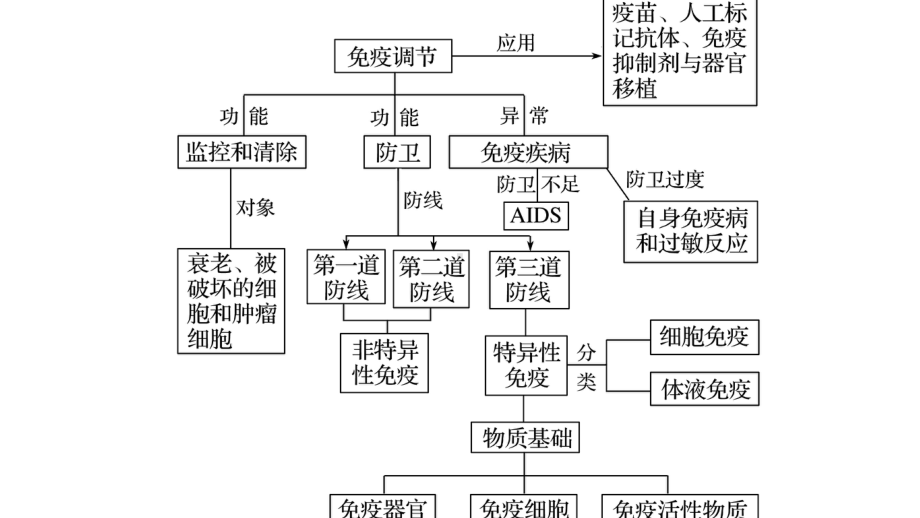 第33讲免疫调节课件.pptx_第3页