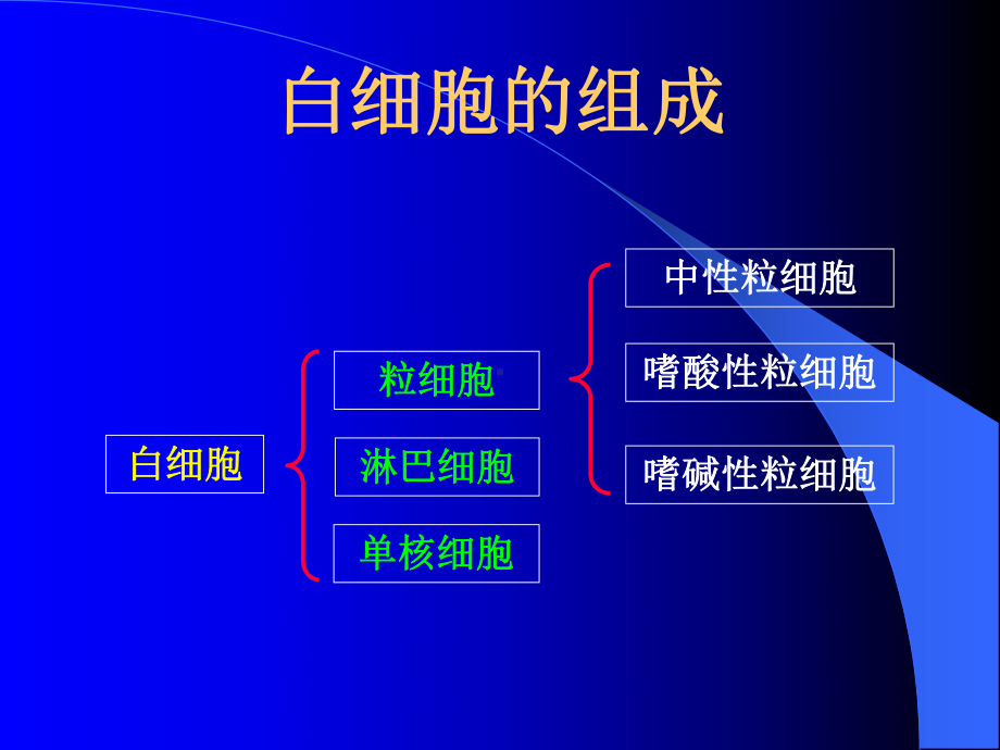 白细胞检查课件.ppt_第3页